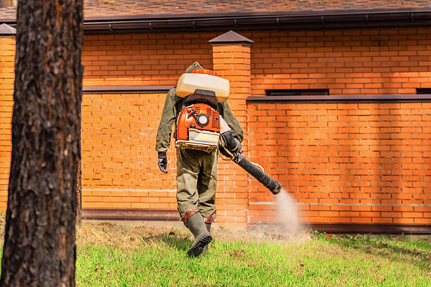 Bed Bug Clearance Verification and Documentation in Shenandoah